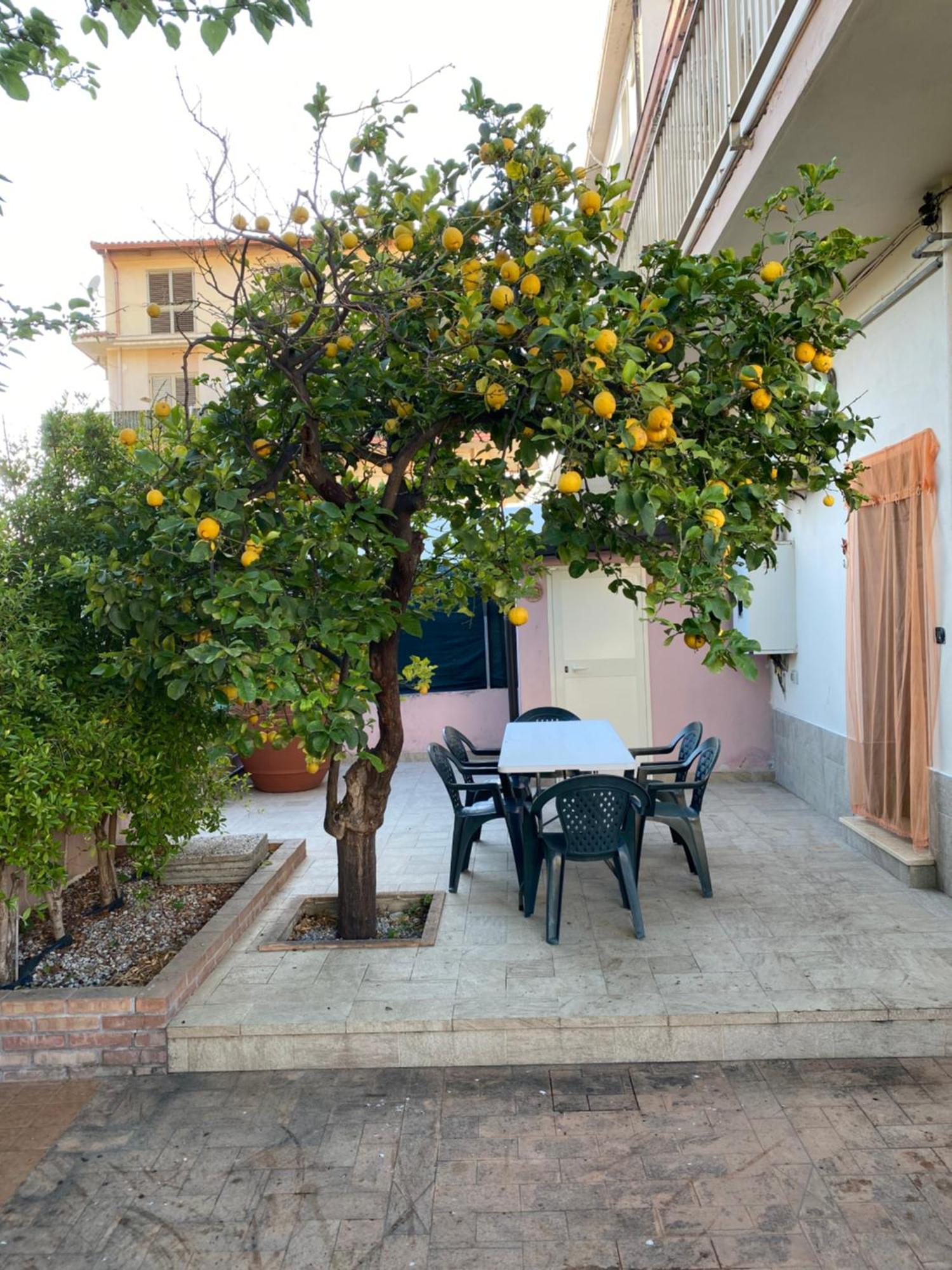 L'Albero Di Limoni Sul Mare Di Pizzo别墅 外观 照片