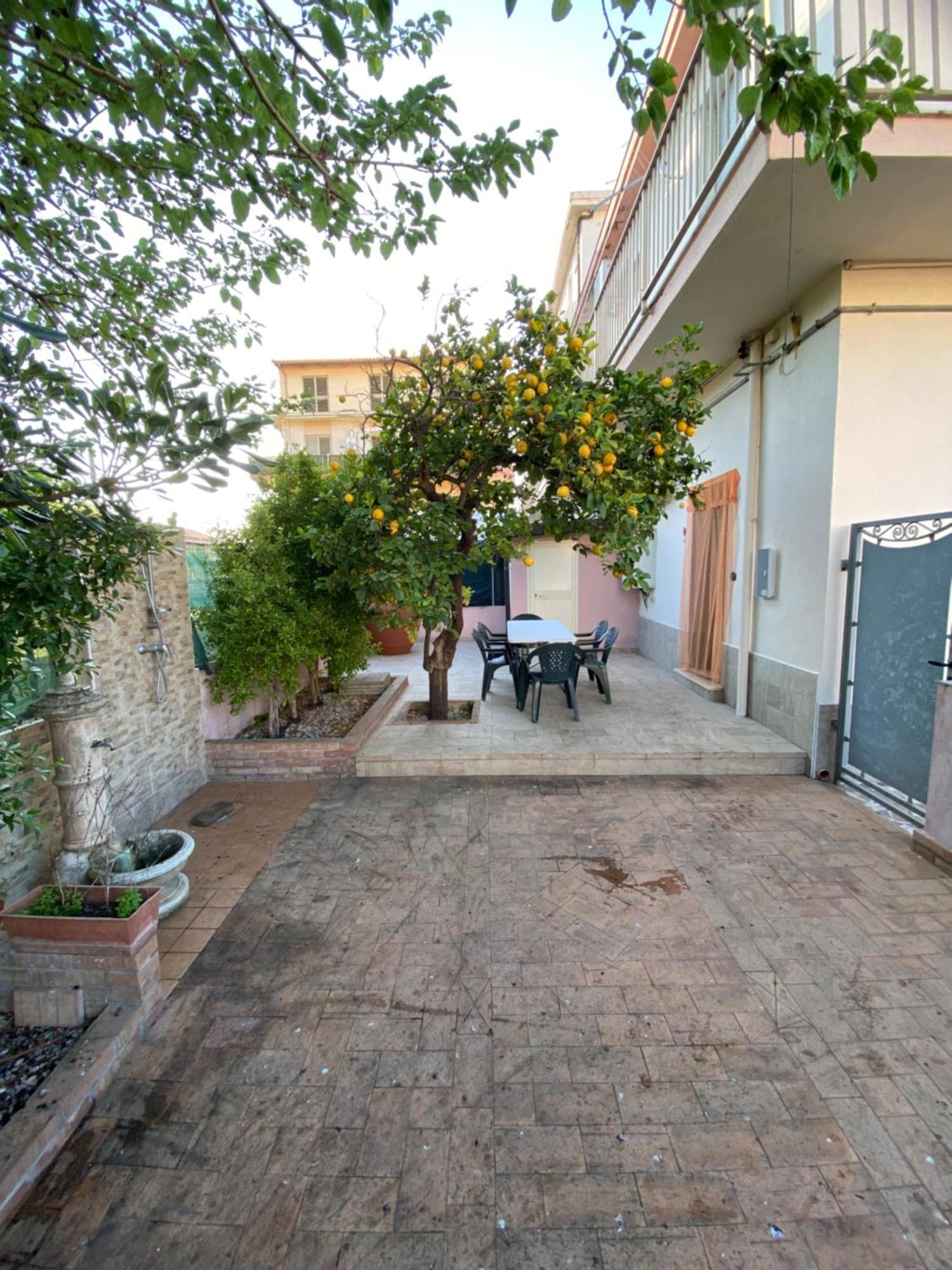 L'Albero Di Limoni Sul Mare Di Pizzo别墅 外观 照片